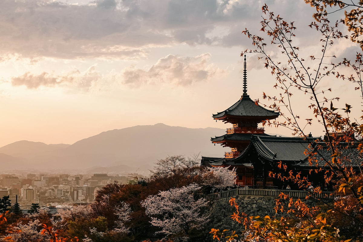Temple de Kiyomizu-dera et cerisiers en fleurs à Kyoto